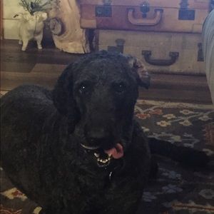 Meet your Posher, Kyle